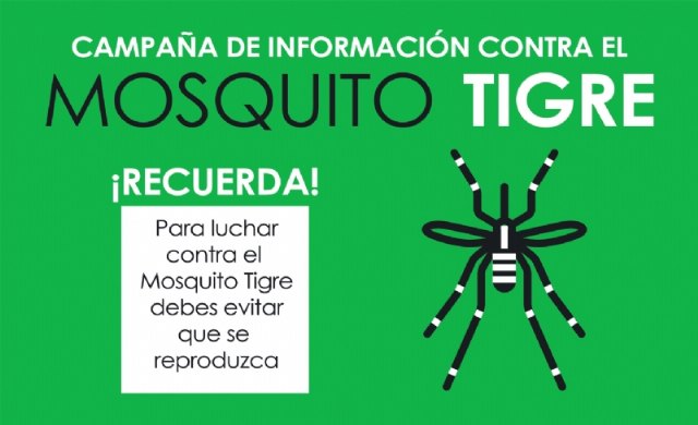 Vuelve el calor, vuelve el mosquito tigre. Consulta aqu las recomendaciones, Foto 1