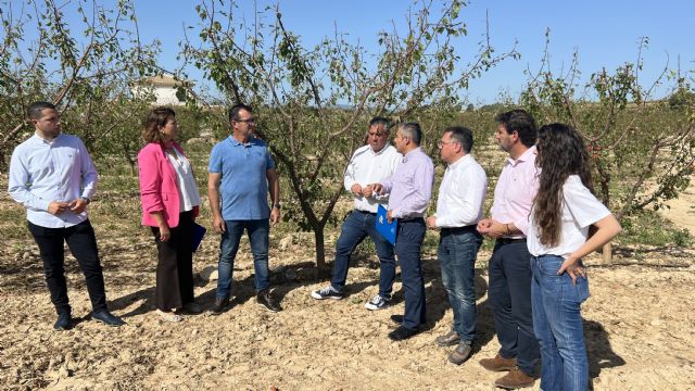 El PP solicita al Gobierno de España ayudas para paliar los daños ocasionados por las tormentas que alcanzan los 215 millones - 1, Foto 1