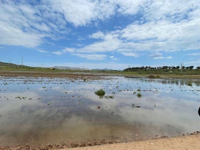 MC exige que se depuren responsabilidades sobre la gestión de las aguas residuales en Cartagena - 1, Foto 1