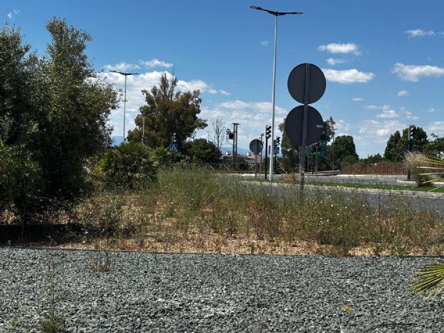 El PSOE exige al PP que limpie y mantenga las Costeras Norte y Sur para garantizar la seguridad de viandantes y conductores - 2, Foto 2