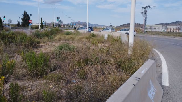 El PSOE exige al PP que limpie y mantenga las Costeras Norte y Sur para garantizar la seguridad de viandantes y conductores - 4, Foto 4