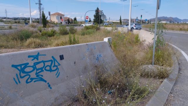 El PSOE exige al PP que limpie y mantenga las Costeras Norte y Sur para garantizar la seguridad de viandantes y conductores - 5, Foto 5