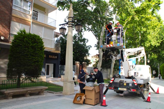 La Alameda de la Constitución multiplica por tres su iluminación para atender una vieja reivindicación de los lorquinos - 5, Foto 5