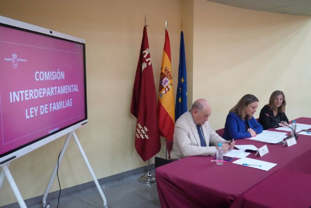 El Gobierno regional presenta a la Comisión Interdepartamental el borrador de la futura Ley de Promoción y Apoyo a las Familias - 1, Foto 1