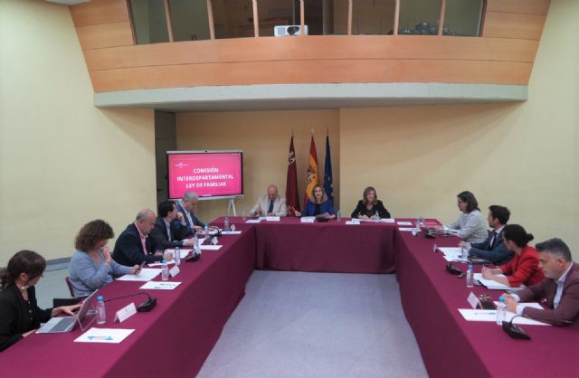 El Gobierno regional presenta a la Comisión Interdepartamental el borrador de la futura Ley de Promoción y Apoyo a las Familias - 2, Foto 2