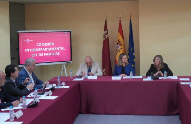 El Gobierno regional presenta a la Comisión Interdepartamental el borrador de la futura Ley de Promoción y Apoyo a las Familias - 3, Foto 3