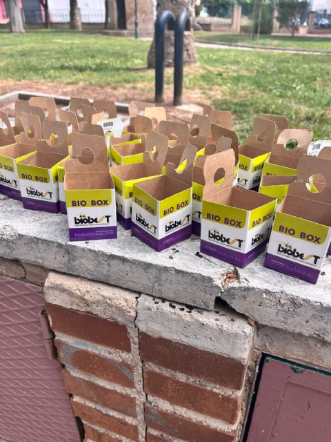 El Ayuntamiento de Murcia pone en marcha el tratamiento biológico contra el pulgón para proteger a 2.300 jacarandas, tipuanas y robinias - 3, Foto 3