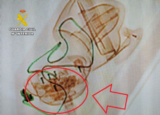 La Guardia Civil desmantela un grupo delictivo que enviaba drogas a otros pa�ses europeos, Foto 3