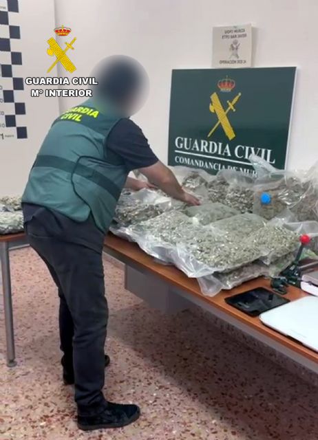 La Guardia Civil desmantela un grupo delictivo que enviaba drogas a otros pa�ses europeos, Foto 5