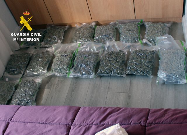 La Guardia Civil desmantela un grupo delictivo que enviaba drogas a otros pa�ses europeos, Foto 6
