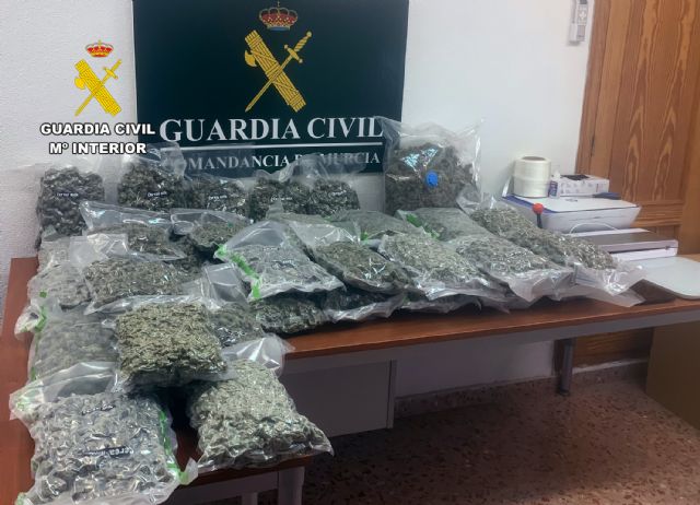 La Guardia Civil desmantela un grupo delictivo que enviaba drogas a otros pa�ses europeos, Foto 8
