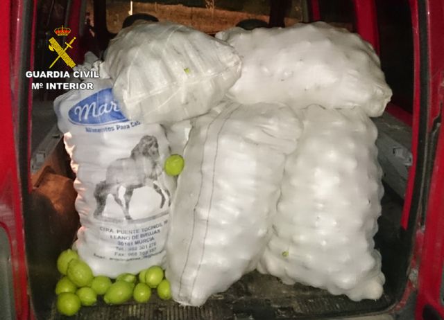 La Guardia Civil sorprende a dos personas sustrayendo gran cantidad de limones - 2, Foto 2