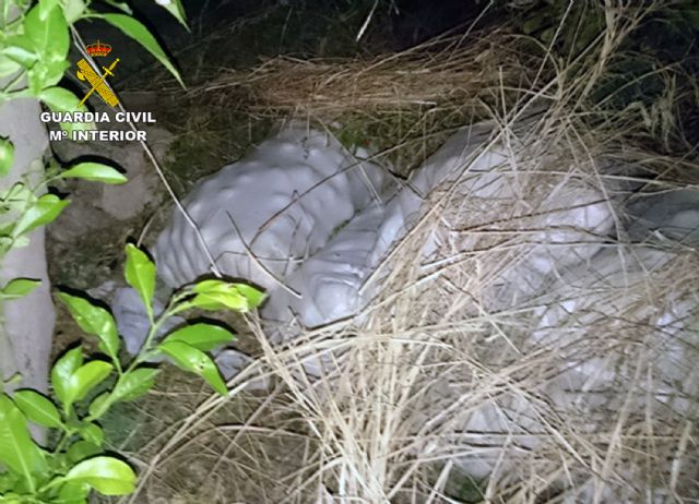 La Guardia Civil sorprende a dos personas sustrayendo gran cantidad de limones - 3, Foto 3