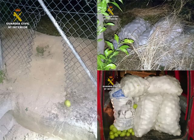 La Guardia Civil sorprende a dos personas sustrayendo gran cantidad de limones - 4, Foto 4