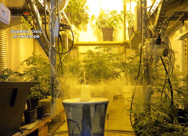 La Guardia Civil detiene a los miembros de una asociación dirigida al estudio del uso terapéutico del cannabis - 1, Foto 1
