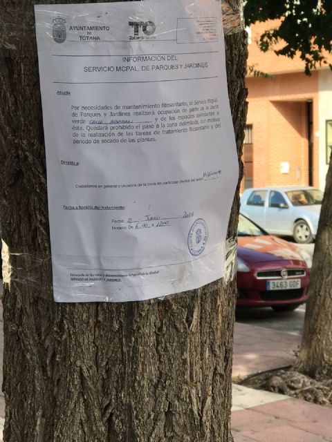 They will replace several alignments of road trees due to their internal affection that had generated structural weaknesses in trunk and branches, Foto 3