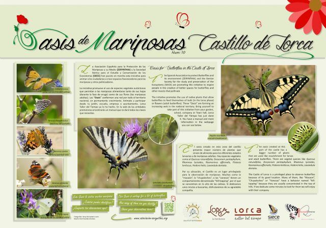 El Castillo de Lorca entra a formar parte del Proyecto Oasis de Mariposas impulsado por la Asociación Española para la Protección de las Mariposas y su Medio - 1, Foto 1