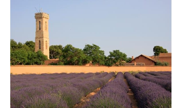Dehesa de Los Llanos presenta su jabón artesano de lavanda - 2, Foto 2