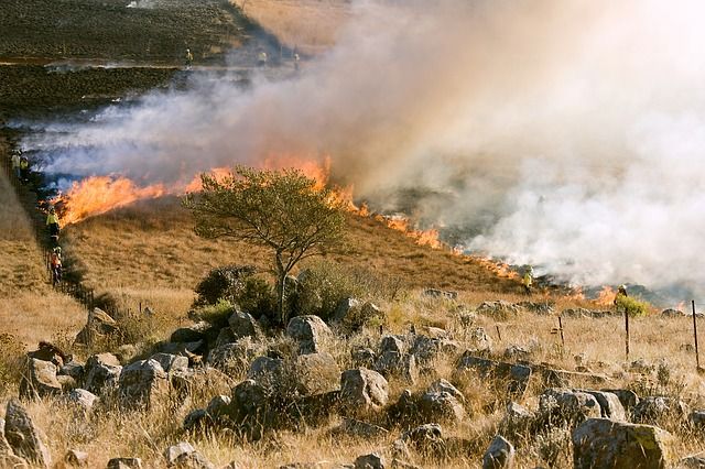 Unión de Uniones pide precaución a toda la sociedad ante el riesgo de incendios por las altas temperaturas - 1, Foto 1