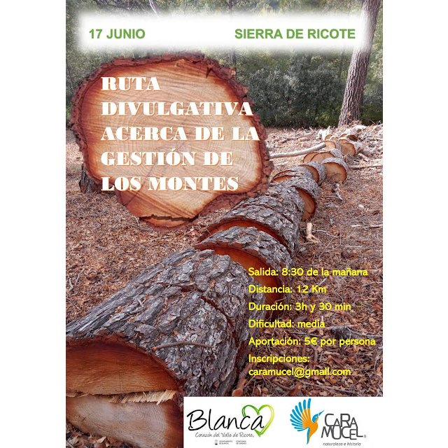 Ruta divulgativa sobre gestión forestal en la Sierra de Ricote - 1, Foto 1