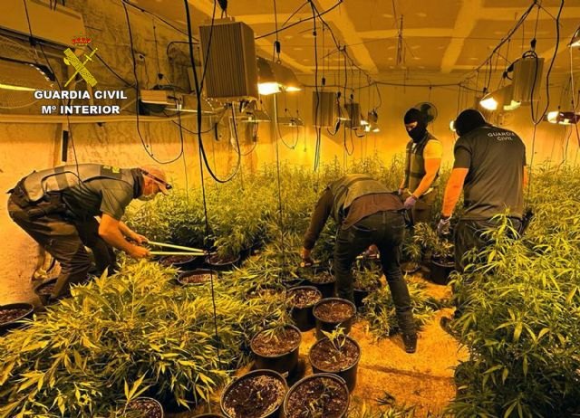 La Guardia Civil desmantela dos puntos de cultivo, elaboración y venta de varios tipos de droga en Albudeite - 1, Foto 1