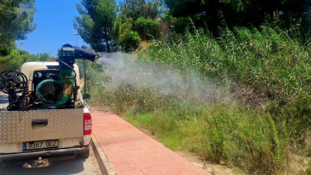 Molina de Segura incrementa la lucha contra los mosquitos - 1, Foto 1