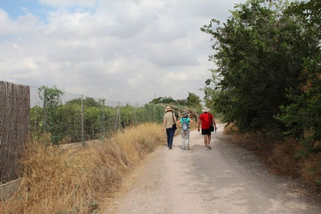 Investigadores de Agrónomos recuperarán meandros abandonados del río Segura - 1, Foto 1
