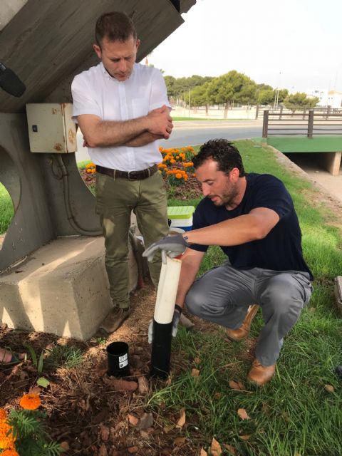 Torre Pacheco instala 6 puntos de trampas contra el mosquito tigre, repartidas por el municipio - 1, Foto 1