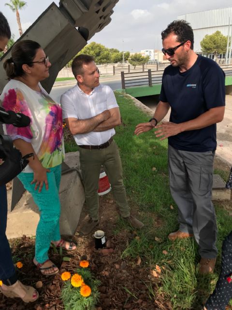 Torre Pacheco instala 6 puntos de trampas contra el mosquito tigre, repartidas por el municipio - 3, Foto 3