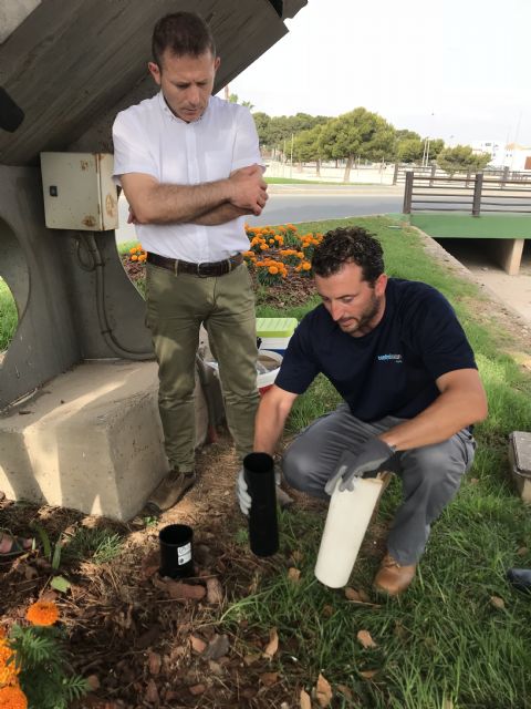 Torre Pacheco instala 6 puntos de trampas contra el mosquito tigre, repartidas por el municipio - 4, Foto 4