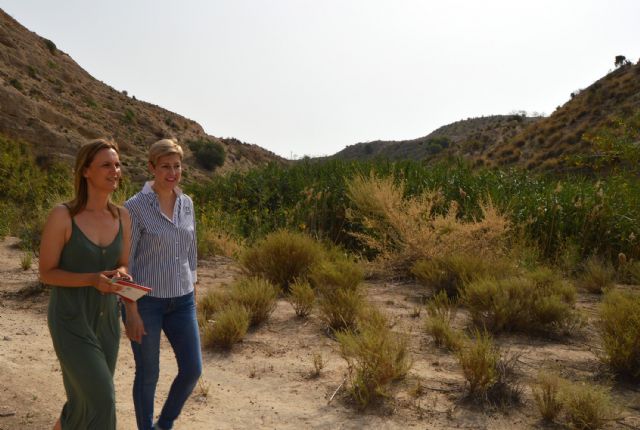 Inauguradas las obras de acondicionamiento y señalización en los senderos de la Rambla Salada - 3, Foto 3