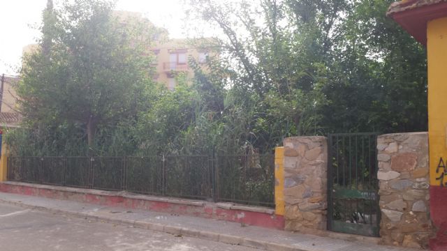 MC promoverá que se garantice la limpieza de solares en Punta Brava y El Carmolí y la atención médica en los núcleos rurales dispersos del Lentiscar - 4, Foto 4