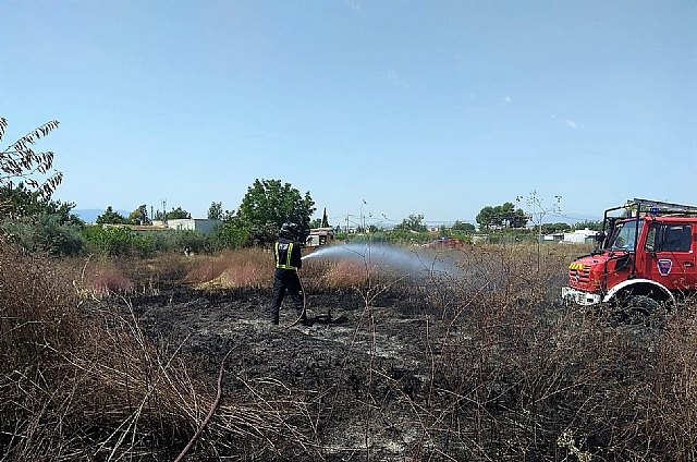Incendio de bancales y cultivos abandonados en El Llano de Molina - 1, Foto 1