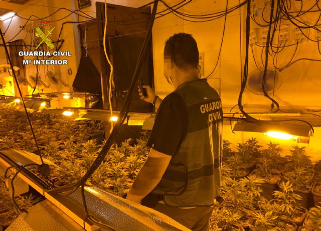La Guardia Civil desmantela en Abarán una plantación indoor y detiene a sus dos responsables - 2, Foto 2