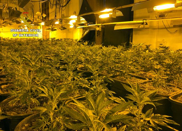 La Guardia Civil desmantela en Abarán una plantación indoor y detiene a sus dos responsables - 4, Foto 4