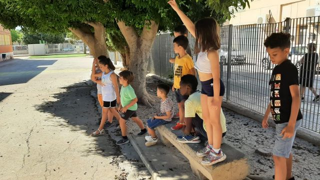 Conciliando en verano en Torre Pacheco - 3, Foto 3