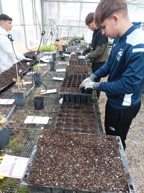 Más de una treintena de alumnos aprenden a inocular hongos a plantas vulnerables y aumentar su resistencia en condiciones climáticas extremas - 1, Foto 1