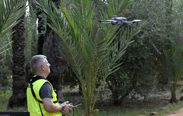 Murcia reduce un 46% los avisos por mosquitos gracias al refuerzo tecnológico y los tratamientos preventivos - 3, Foto 3