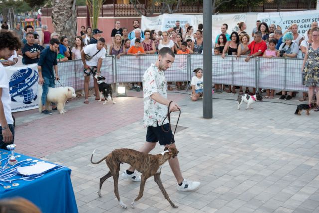 Famas Fest divierte a pequeños y a mayores junto a sus mascotas - 4, Foto 4