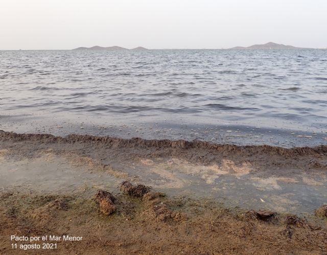 Nota de prensa: El Mar Menor al borde de 2016 y 2019 - 1, Foto 1
