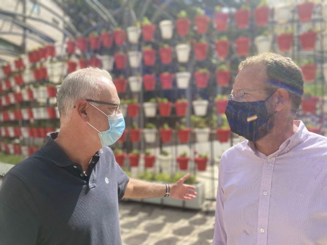 El PP denuncia el completo abandono al que están sometidos los parques y jardines de Murcia debido a la inacción del PSOE - 1, Foto 1