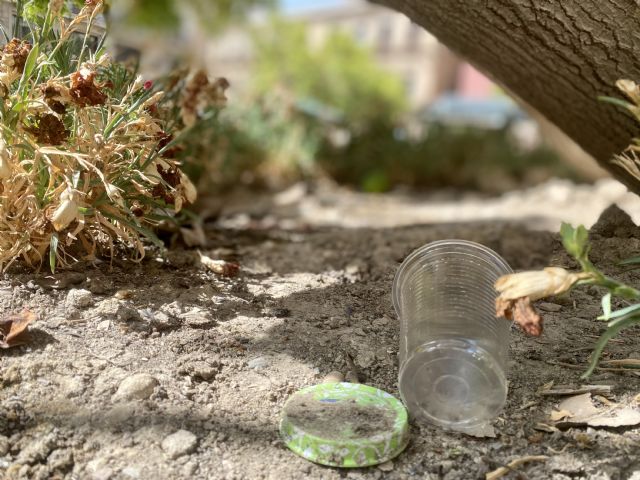 El PP denuncia el completo abandono al que están sometidos los parques y jardines de Murcia debido a la inacción del PSOE - 2, Foto 2