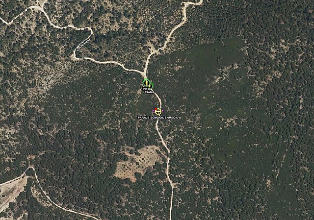 Incendio forestal en Somogil, Moratalla - 1, Foto 1