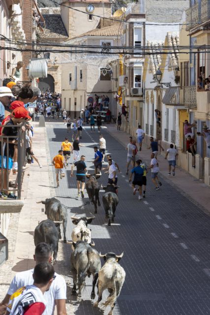 Un encierro rápido y limpio en la segunda cita taurina de las Fiestas Patronales de Blanca 2022 - 1, Foto 1