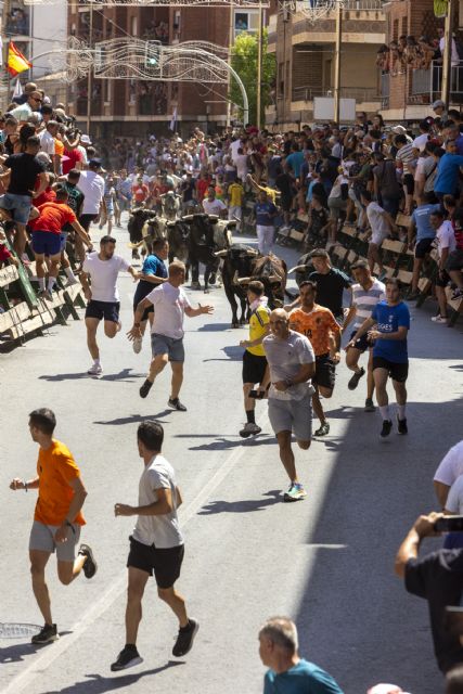 Un encierro rápido y limpio en la segunda cita taurina de las Fiestas Patronales de Blanca 2022 - 2, Foto 2