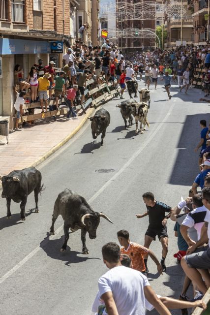 Un encierro rápido y limpio en la segunda cita taurina de las Fiestas Patronales de Blanca 2022 - 3, Foto 3