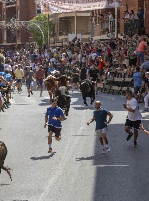 Blanca celebra su tercer encierro, el primero por la Gran Vía de 2025 - 2, Foto 2