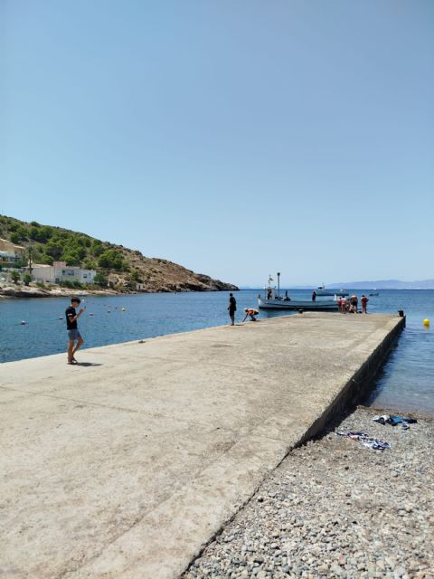 El PCAN denuncia que el muelle de La Azohía se queda sin la reforma prometida por la Comunidad Autónoma - 4, Foto 4