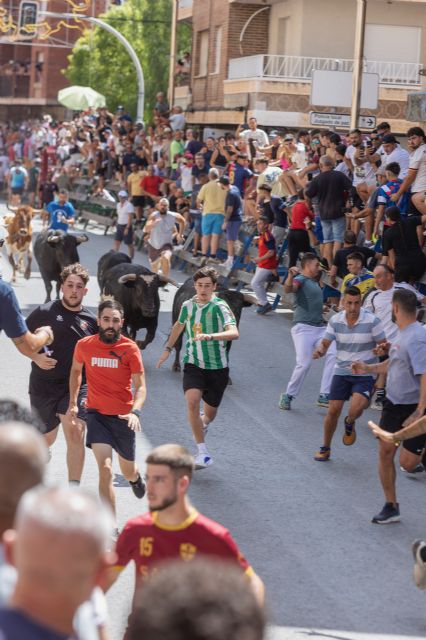 El cuarto encierro de las Fiestas Patronales de Blanca en honor a San Roque deja vistosas carreras por Gran Vía El cuarto encierro de las Fiestas Patronales de Blanca en honor a San Roque deja vistosas carreras por Gran Vía