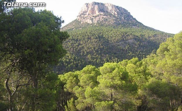 Bruselas requiere a la Consejería de Medio Ambiente de Murcia para que entregue a FAPEN la documentación solicitada, Foto 1